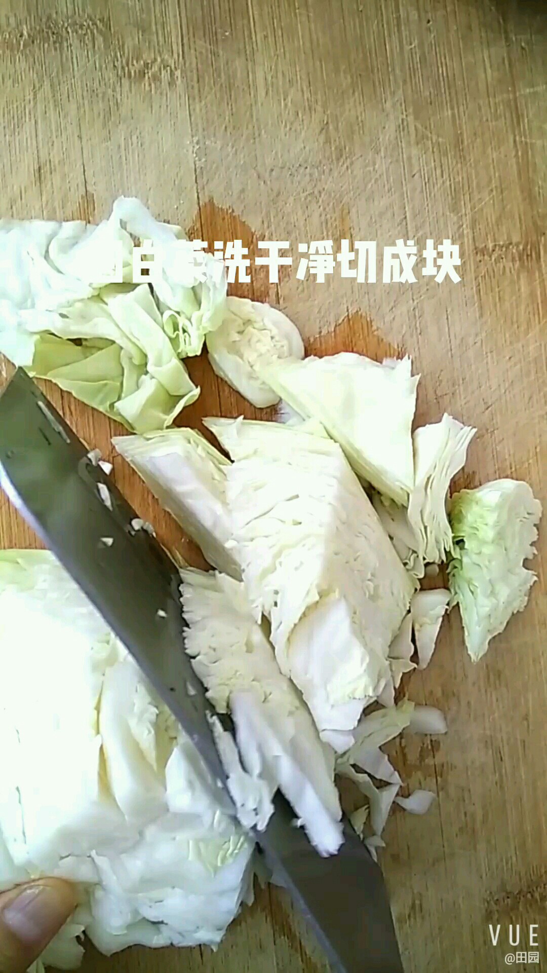 香菇炒圓白菜的做法-家常味炒菜譜