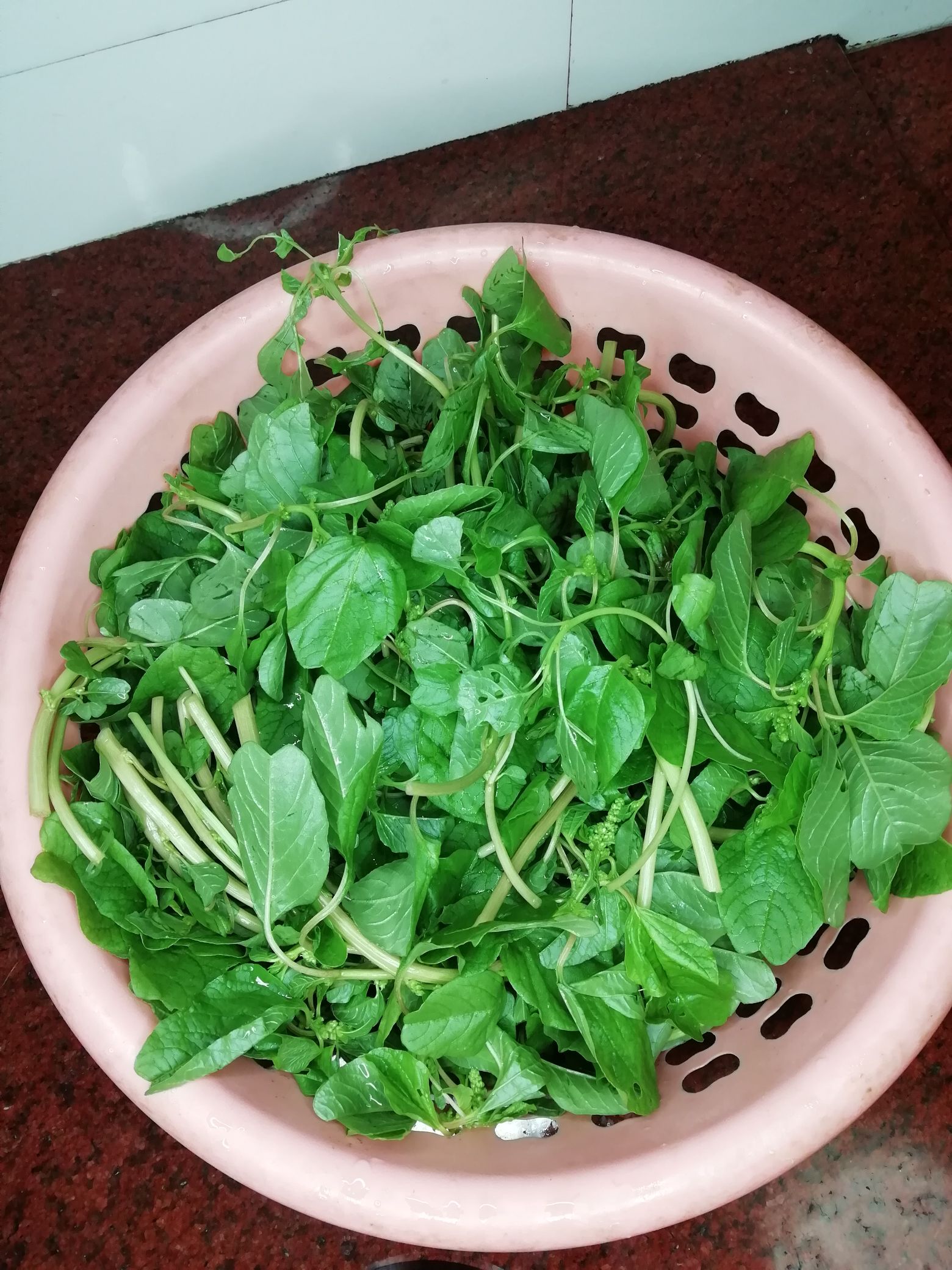 涼拌莧菜的做法-咸鮮味拌菜譜-易網<a href=http://www.jsjjzhkt.cn/ target=_blank class=infotextkey>健康養生</a>網 涼拌莧菜的做法-咸鮮味拌菜譜