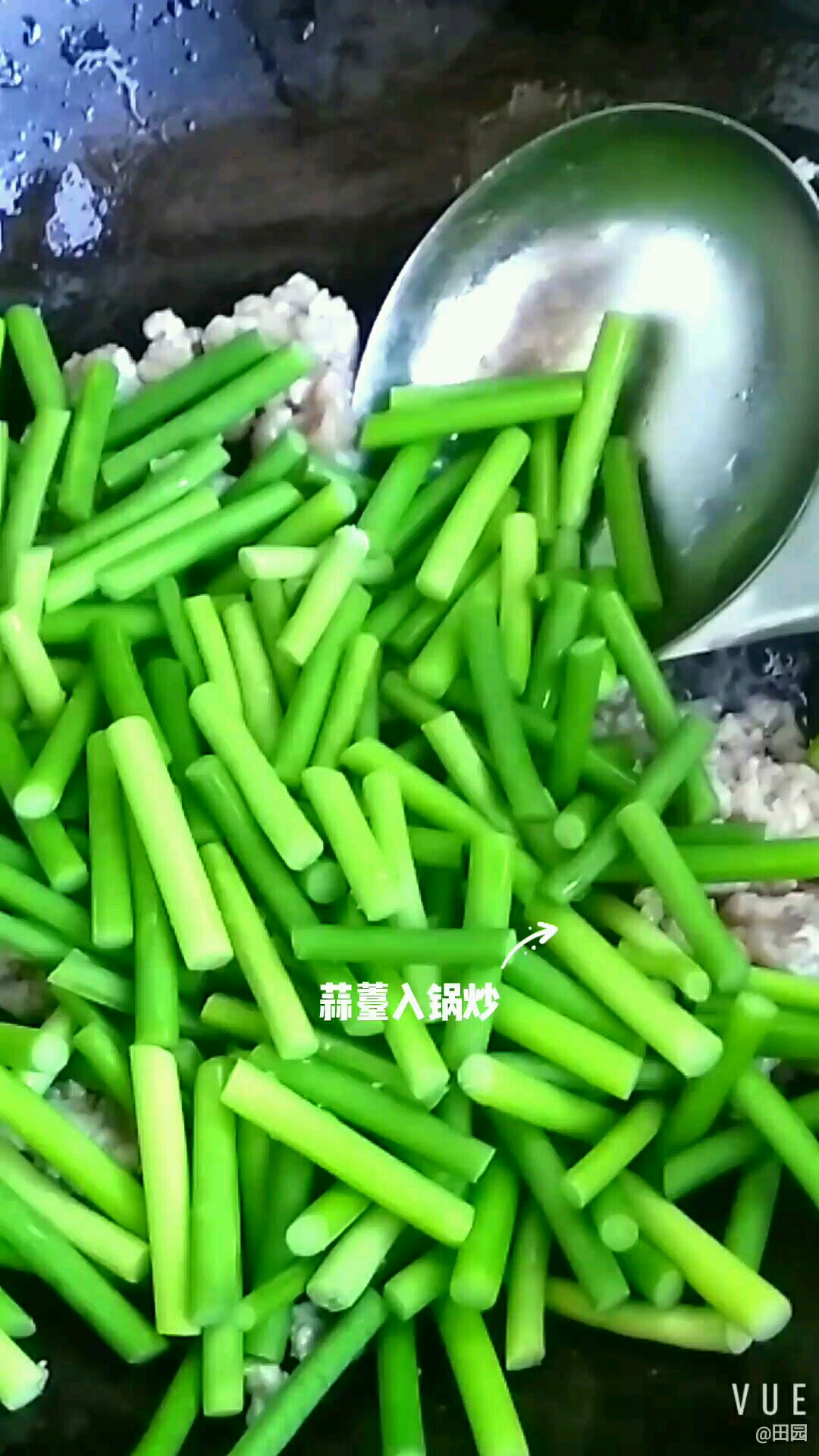 豬肉餡炒蒜薹的做法-咸鮮味炒菜譜-易網健康養生網 豬肉餡炒蒜薹的做法-咸鮮味炒菜譜