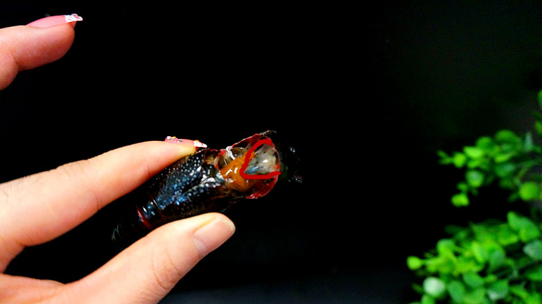 雜炒小龍蝦的做法-香辣味炒菜譜-易網(wǎng)健康養(yǎng)生網(wǎng) 雜炒小龍蝦的做法-香辣味炒菜譜