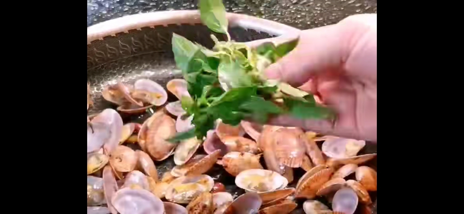 炒花甲的做法-咸鮮味炒菜譜-易網健康養生網 炒花甲的做法-咸鮮味炒菜譜