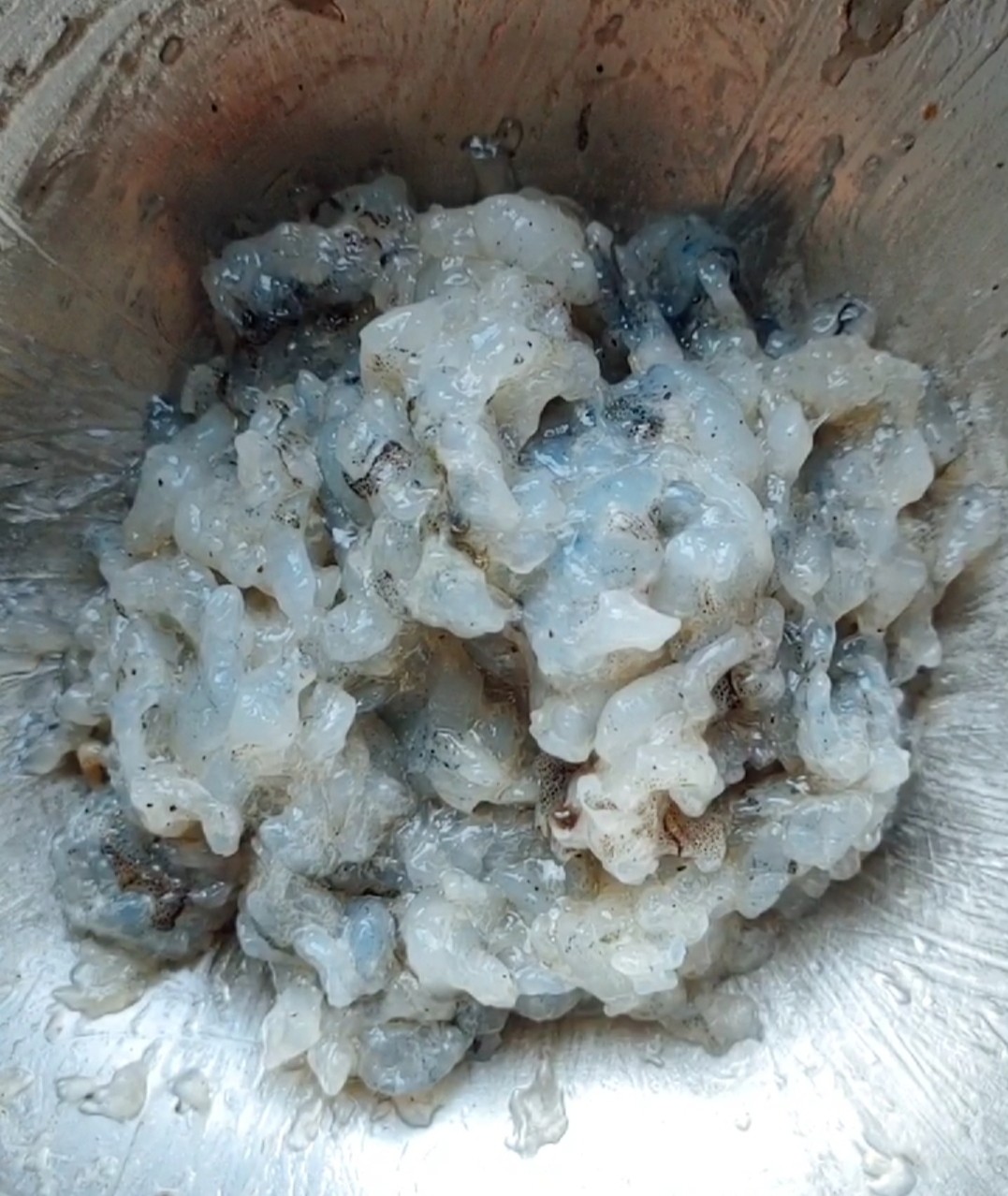 荔枝蝦球的做法-芥末味炸菜譜-易網(wǎng)健康養(yǎng)生網(wǎng) 荔枝蝦球的做法-芥末味炸菜譜