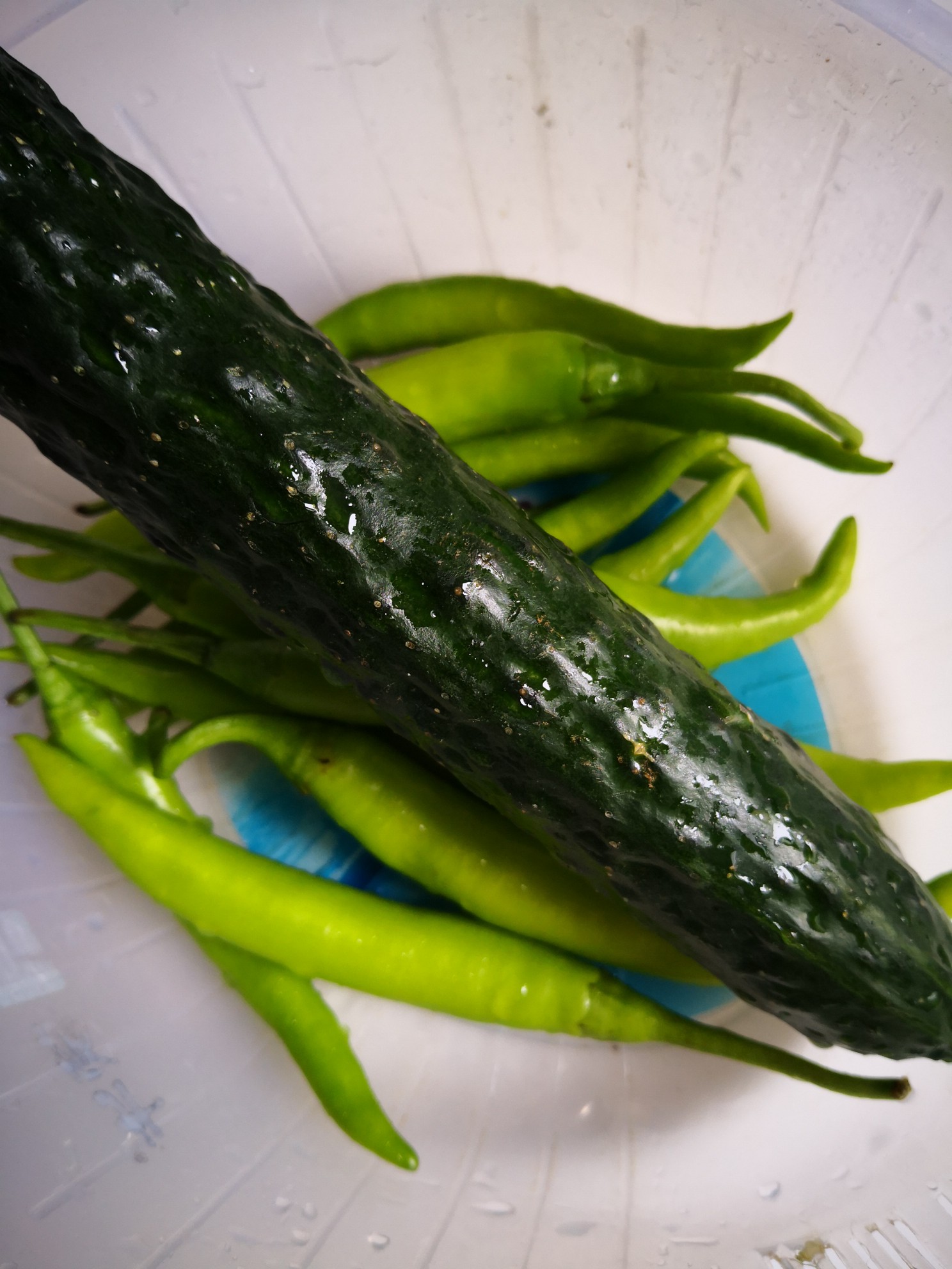 花生米拌杭椒的做法-家常味拌菜譜