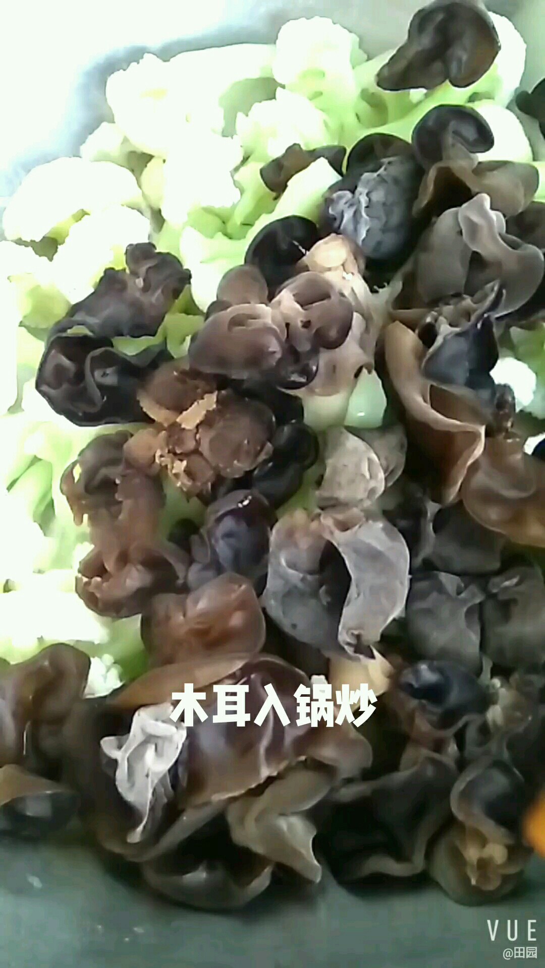 木耳炒菜花的做法-家常味炒菜譜-易網健康養生網 木耳炒菜花的做法-家常味炒菜譜