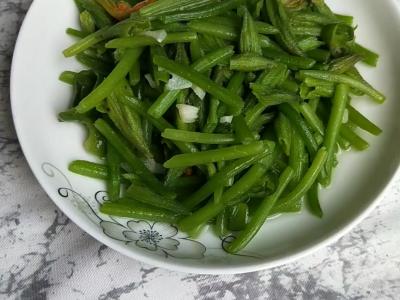 蒜香南瓜花的做法-家常味炒菜譜