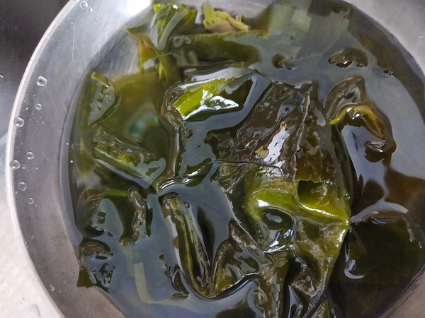 雞湯燉油皮的做法-咸鮮味燉菜譜