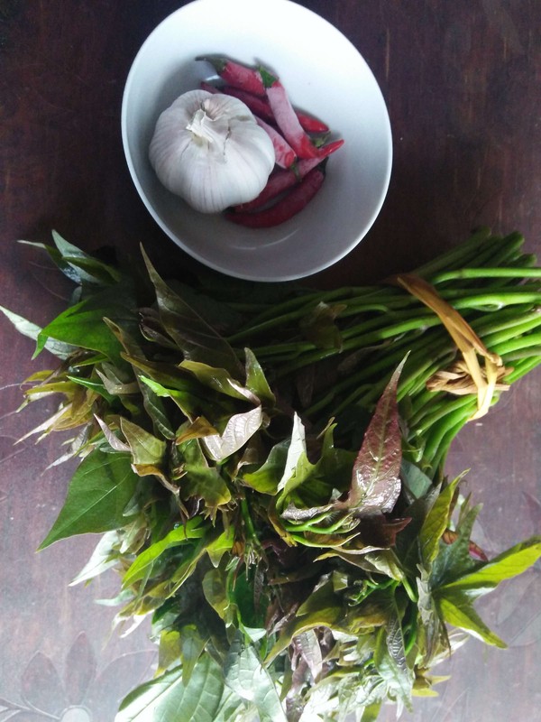 蘸水紅薯尖的做法-香辣味其它工藝菜譜