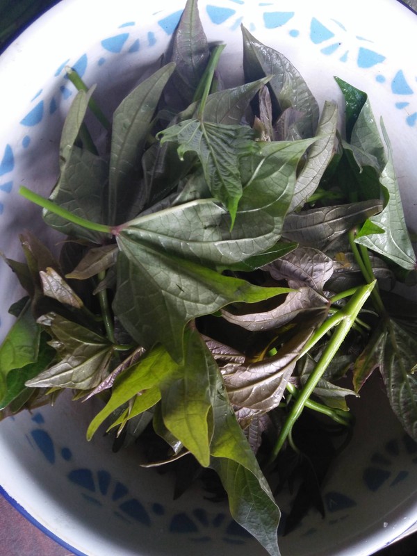 蘸水紅薯尖的做法-香辣味其它工藝菜譜