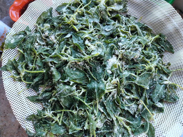 蒸荊芥的做法-家常味蒸菜譜