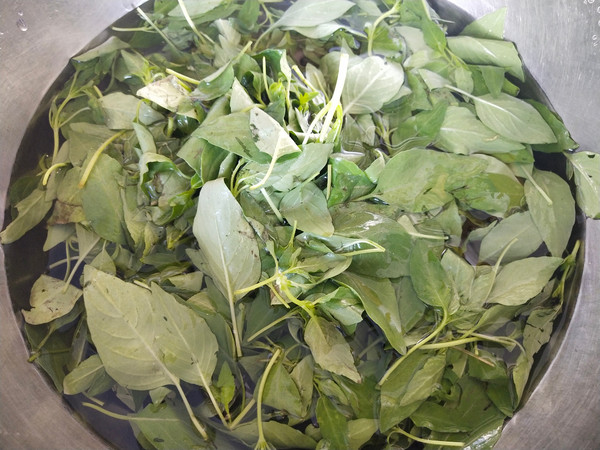 蒸荊芥的做法-家常味蒸菜譜