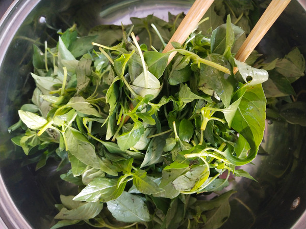 蒸荊芥的做法-家常味蒸菜譜