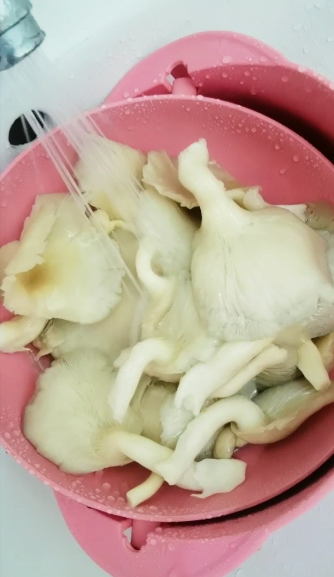 平菇炒小白菜的做法-咸鮮味炒菜譜