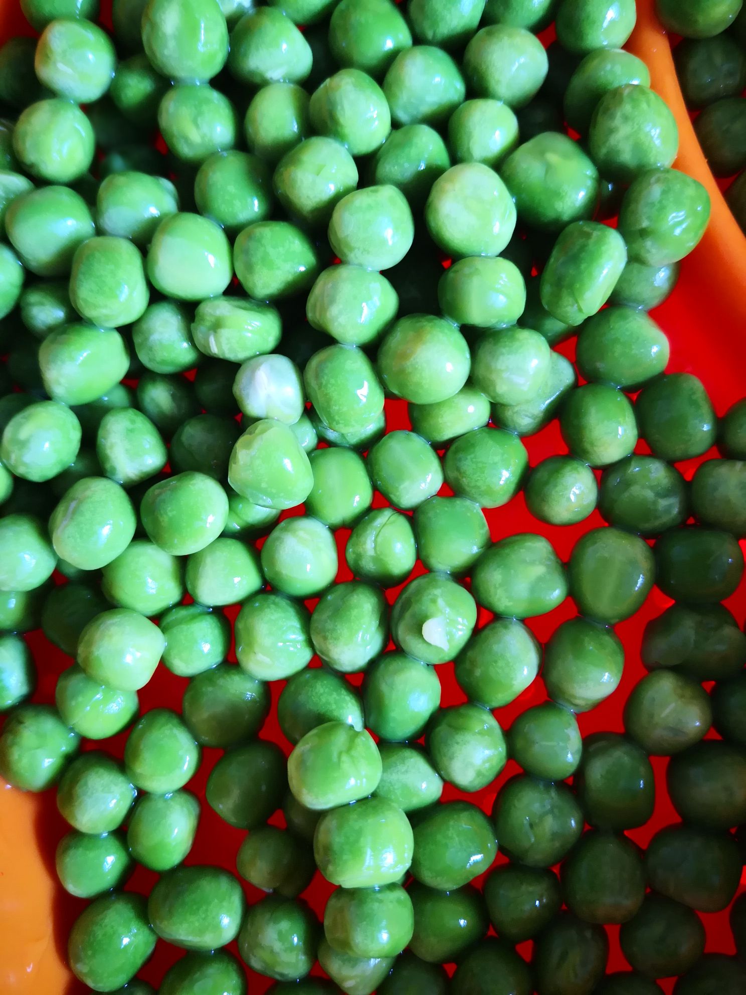 芹菜炒豌豆的做法-家常味炒菜譜