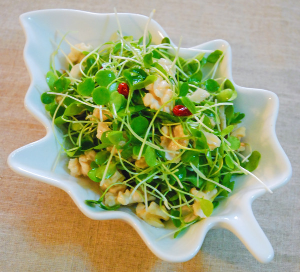 香椿苗拌核桃仁的做法-咸鮮味拌菜譜