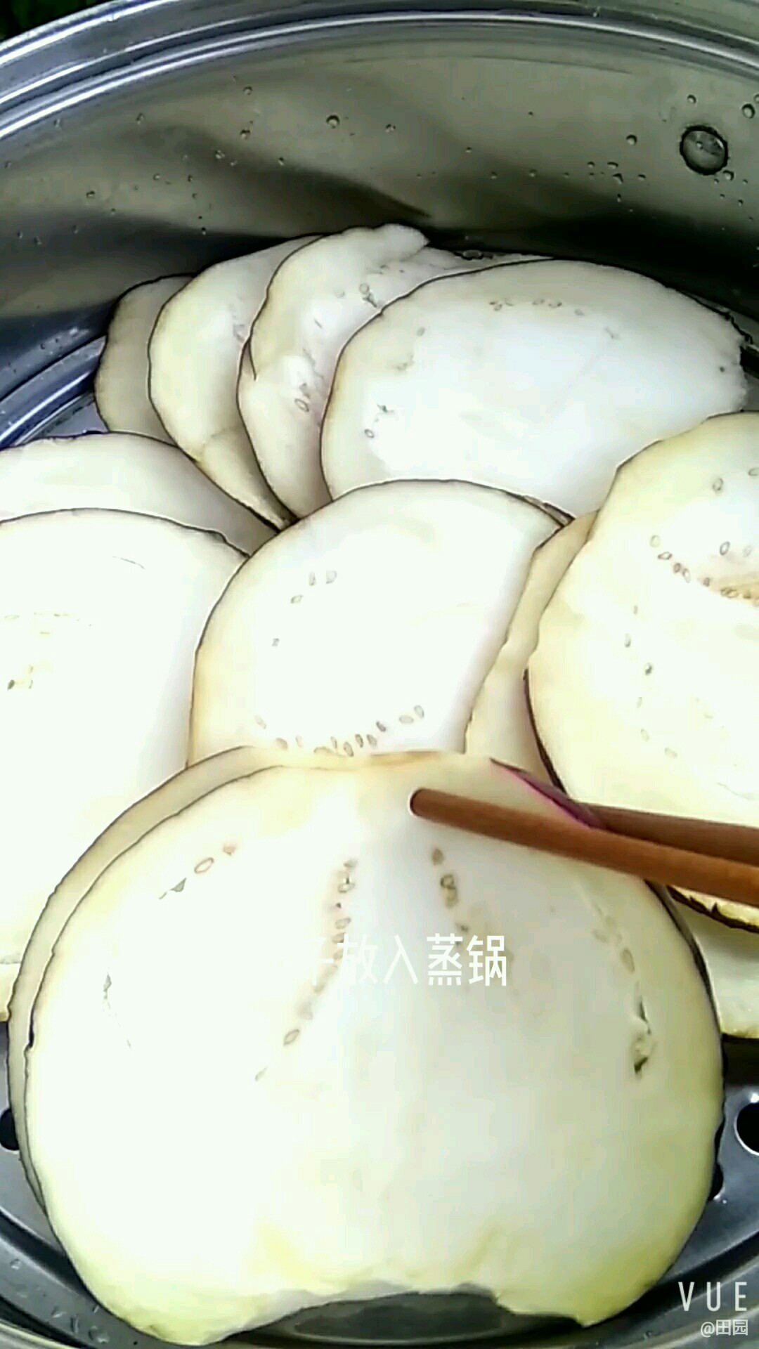 健康蒸茄子的做法-咸鮮味拌菜譜