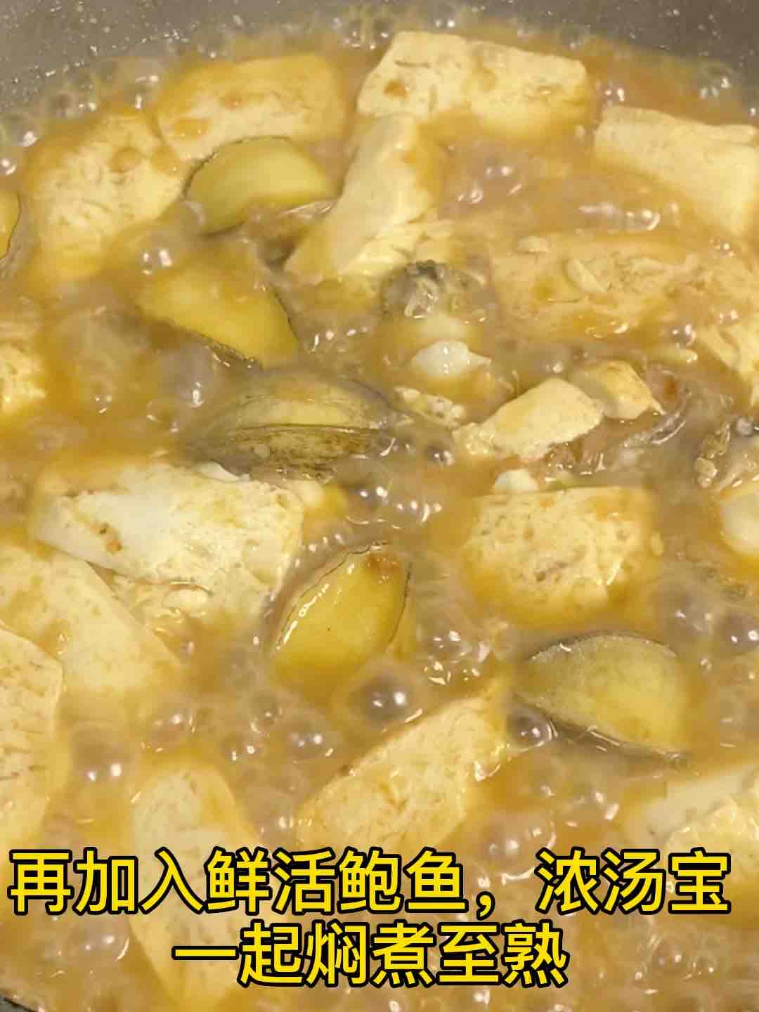 鮑魚燜豆腐，超鮮美的做法-家常味煮菜譜