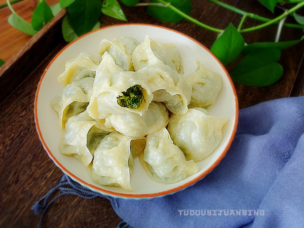 茴香豬肉餡蒸餃的做法-咸鮮味蒸菜譜