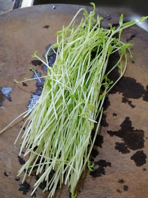 簡簡單單也不失美味~~松柳苗炒雞蛋的做法-家常味炒菜譜