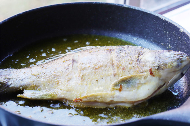 紅燒魚的做法-家常味煮菜譜