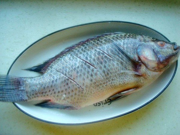 干燒羅非魚的做法-咸鮮味燒菜譜