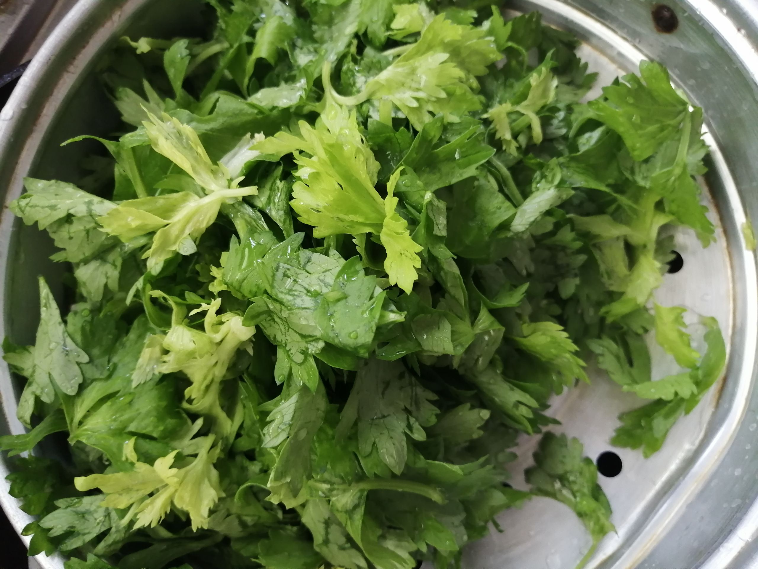 芹菜葉不要丟棄加它變身美味湯的做法-家常味煮菜譜