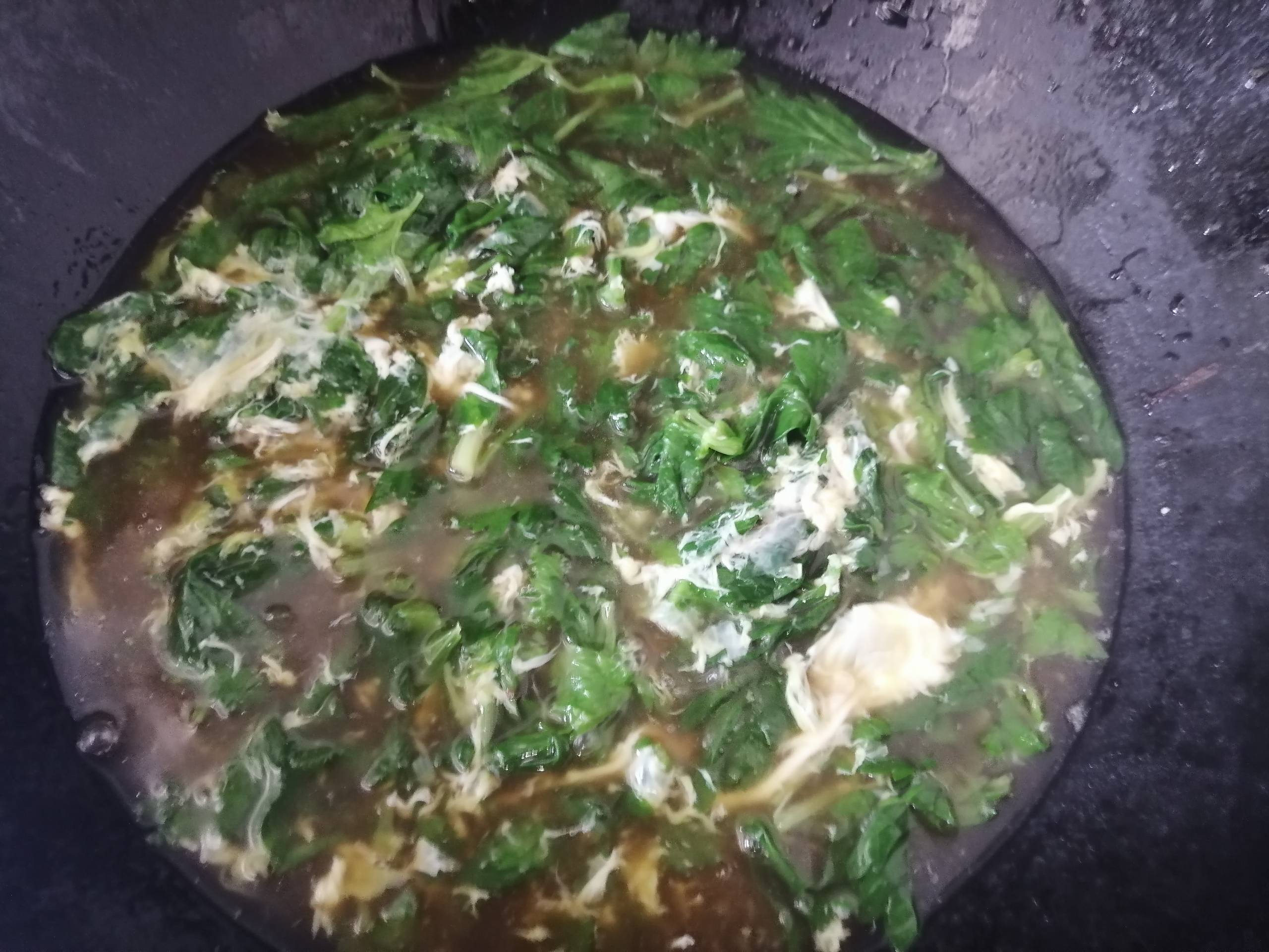 芹菜葉不要丟棄加它變身美味湯的做法-家常味煮菜譜