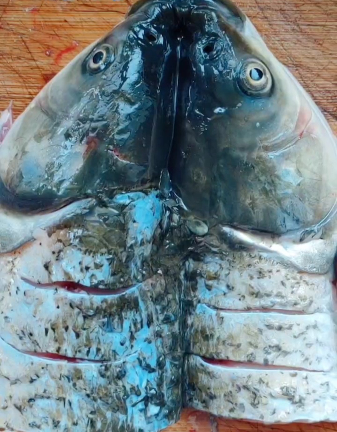 雙椒魚頭的做法-其它口味蒸菜譜