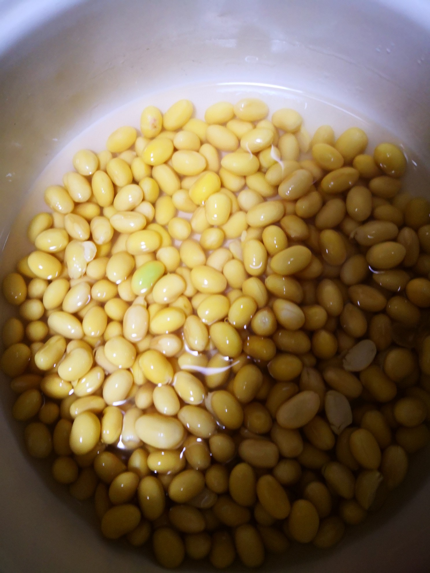 茄汁青魚的做法-家常味燉菜譜-易網健康養生網 茄汁青魚的做法-家常味燉菜譜