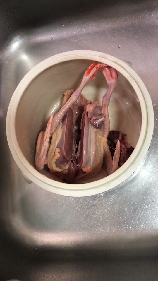 鮮甜美味的鴿子湯,這樣做滋補(bǔ)又養(yǎng)顏,冬天必備養(yǎng)生飲品!的做法-家常味燉菜譜-易網(wǎng)健康養(yǎng)生網(wǎng) 鮮甜美味的鴿子湯,這樣做滋補(bǔ)又養(yǎng)顏,冬天必備養(yǎng)生飲品!的做法-家常味燉菜譜