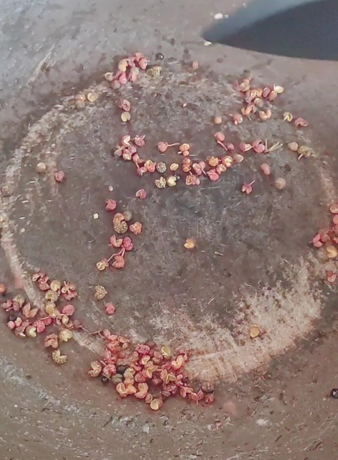 椒鹽烤排骨的做法-咸鮮味烤菜譜-易網(wǎng)健康養(yǎng)生網(wǎng) 椒鹽烤排骨的做法-咸鮮味烤菜譜