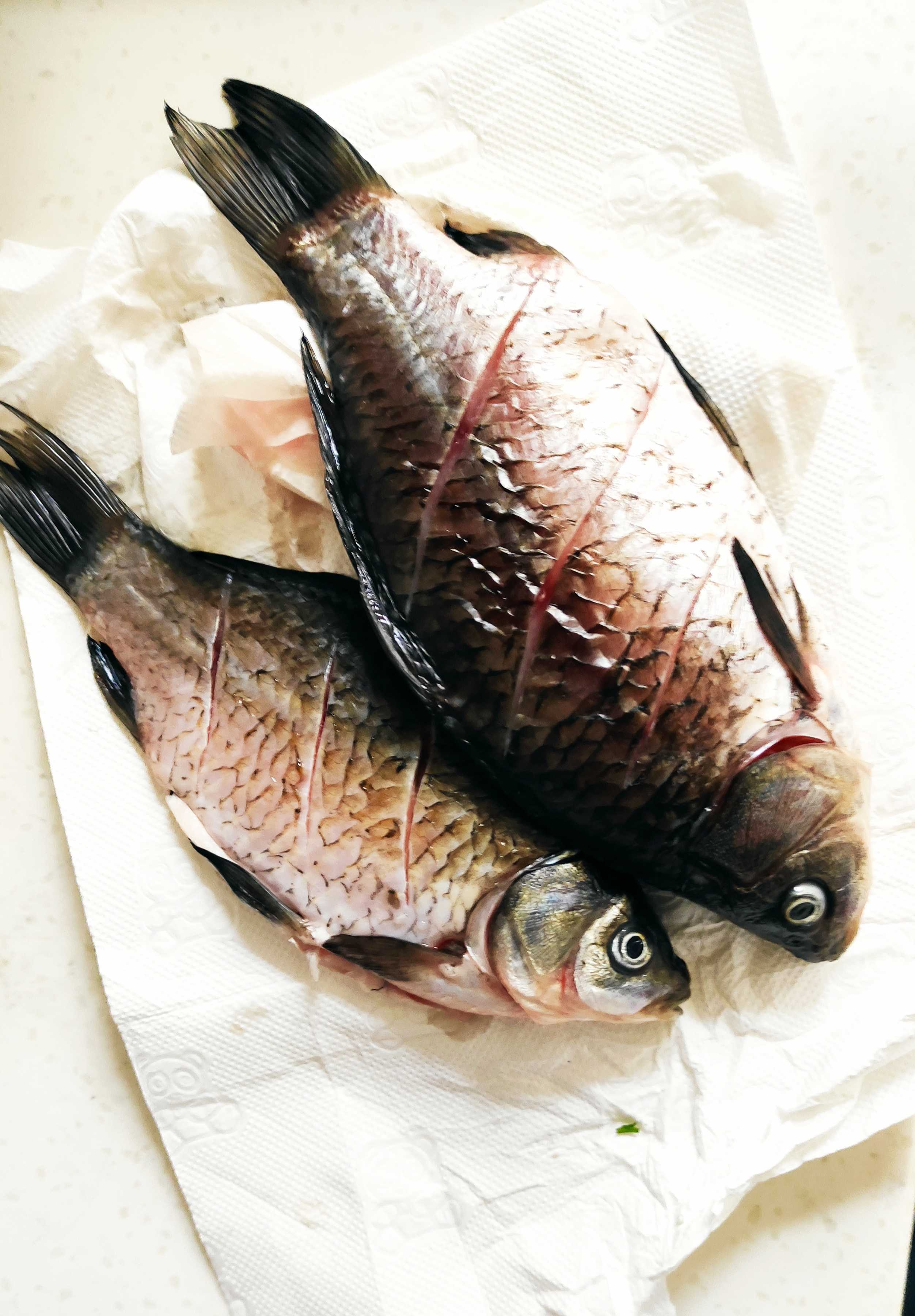 超鮮超美味的鯽魚蘿卜湯的做法-家常味煮菜譜