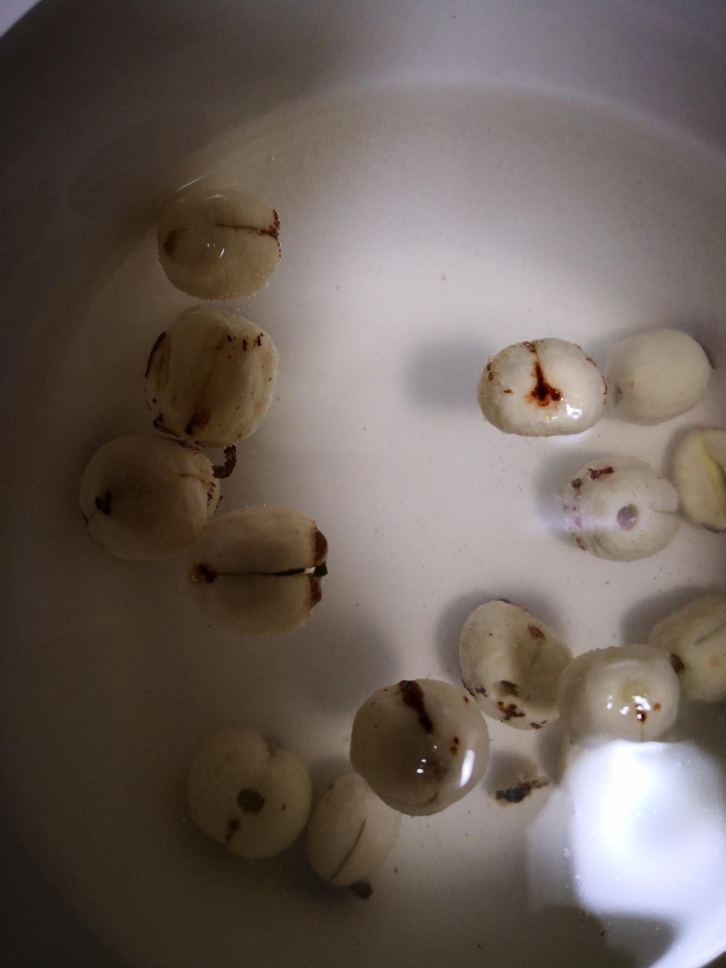 蓮子牛肉羹的做法-家常味榨汁菜譜-易網健康養生網 蓮子牛肉羹的做法-家常味榨汁菜譜