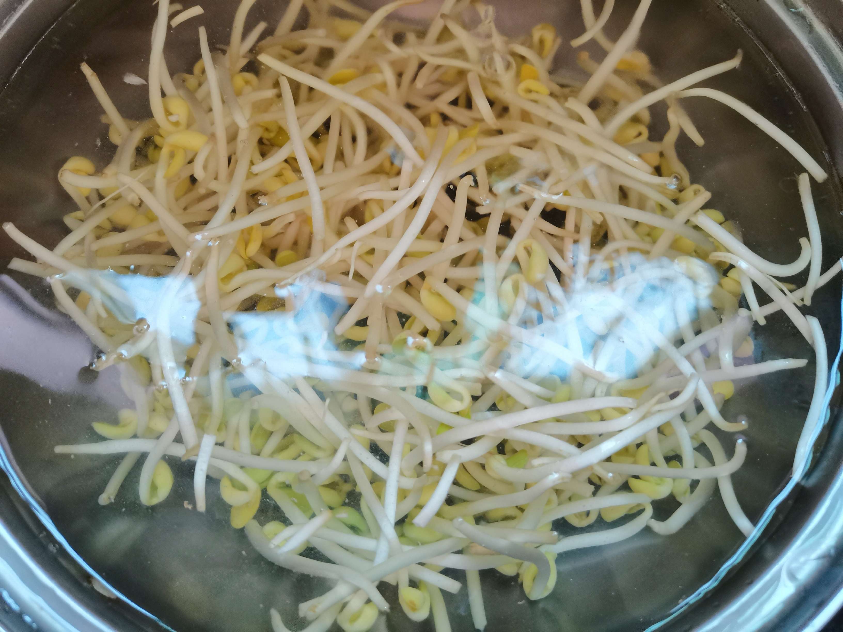 家常菜“清炒黃豆芽”的做法-家常味炒菜譜-易網健康養生網 家常菜“清炒黃豆芽”的做法-家常味炒菜譜