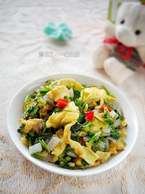 芫荽炒雞蛋的做法-家常味炒菜譜-易網(wǎng)健康養(yǎng)生網(wǎng) 芫荽炒雞蛋的做法-家常味炒菜譜