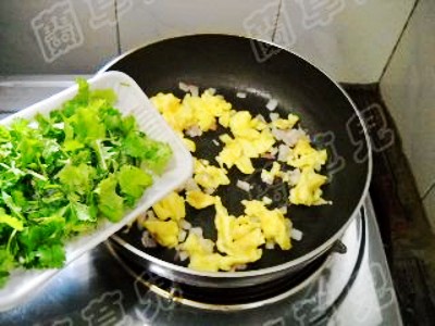 芫荽炒雞蛋的做法-家常味炒菜譜-易網(wǎng)健康養(yǎng)生網(wǎng) 芫荽炒雞蛋的做法-家常味炒菜譜