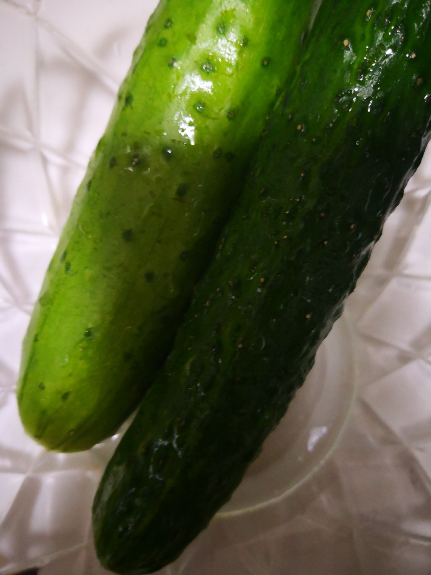 圓蔥拌黃瓜枸杞的做法-家常味拌菜譜-易網健康養生網 圓蔥拌黃瓜枸杞的做法-家常味拌菜譜