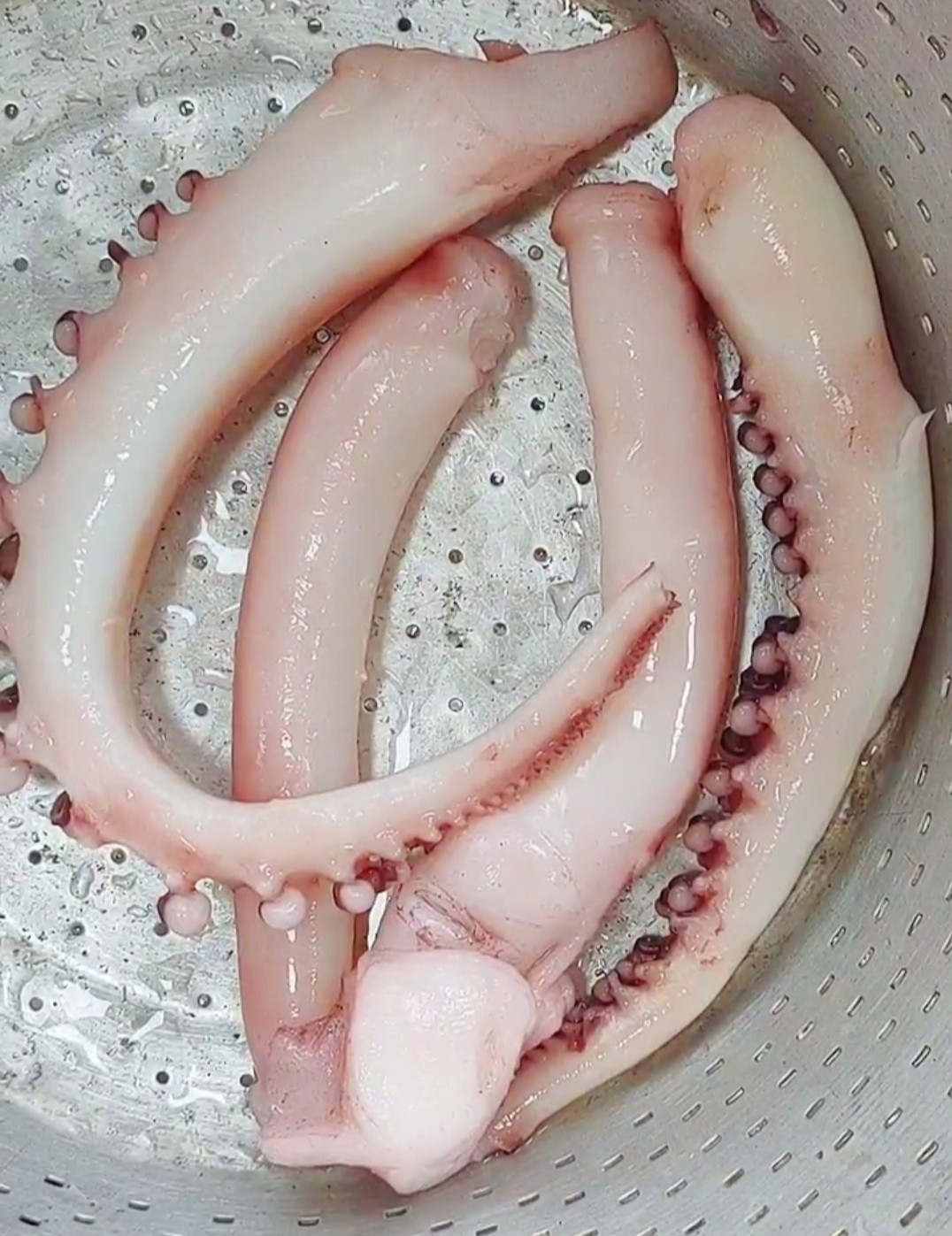 低溫慢煮章魚足的做法-其它口味煮菜譜