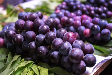 葡萄的功效與作用,女性吃葡萄也需要看葡萄的品種-易網健康養生網 葡萄的功效與作用,女性吃葡萄也需要看葡萄的品種