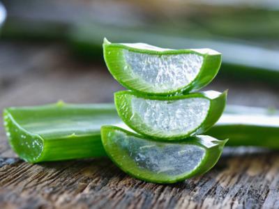 鮮蘆薈能直接用來擦臉嗎？如何用鮮蘆薈護膚？