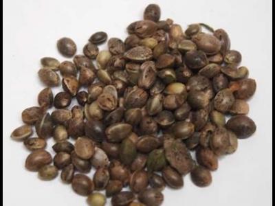 火麻仁怎么吃?小編分享三種搭配方法