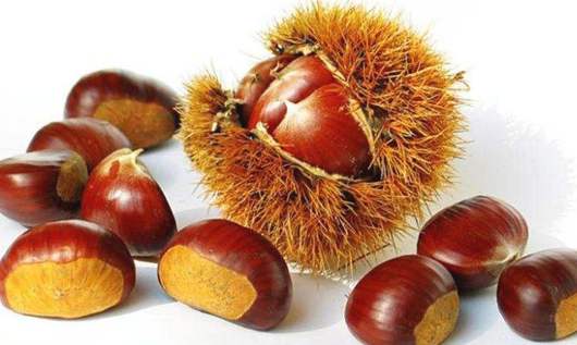 便秘吃什么好?小編分享十種通便食物-易網(wǎng)健康養(yǎng)生網(wǎng) 便秘吃什么好?小編分享十種通便食物