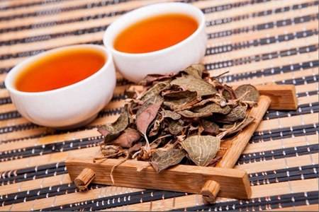 金線蓮的六大功效與作用,清熱養顏幫你去除痘痘粉刺-易網<a href=http://www.jsjjzhkt.cn/ target=_blank class=infotextkey>健康養生</a>網 金線蓮的六大功效與作用,清熱養顏幫你去除痘痘粉刺