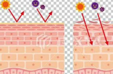 護膚小知識:皮膚很薄適合洗面嗎?-易網健康<a href=http://www.jsjjzhkt.cn/jkys/ target=_blank class=infotextkey>養生</a>網 護膚小知識:皮膚很薄適合洗面嗎?