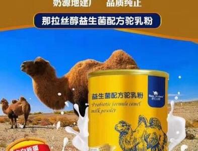 駱駝奶粉的功效和作用,保護皮膚濕潤!