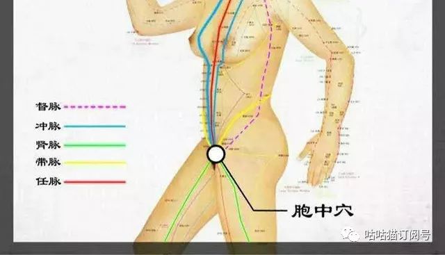 臻丸丨作為女人一定要用,一定要進(jìn)來看看!-易網(wǎng)健康養(yǎng)生網(wǎng) 臻丸丨作為女人一定要用,一定要進(jìn)來看看!