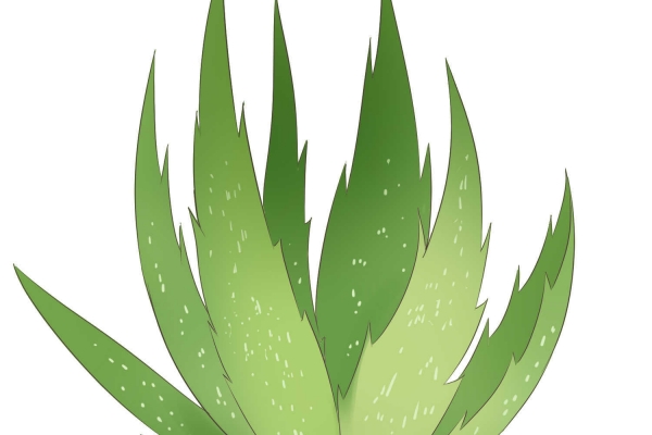 皮膚干燥怎么補水最快-易網<a href=http://www.jsjjzhkt.cn/ target=_blank class=infotextkey>健康養生</a>網 皮膚干燥怎么補水最快