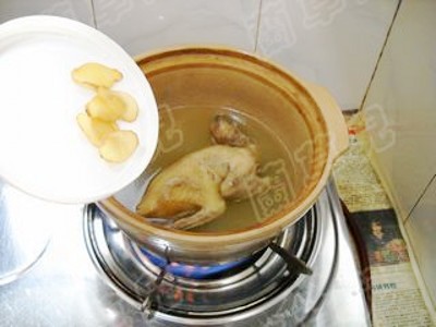 枸杞菊花燉乳鴿的做法-家常味燉菜譜 枸杞菊花燉乳鴿的做法-家常味燉菜譜