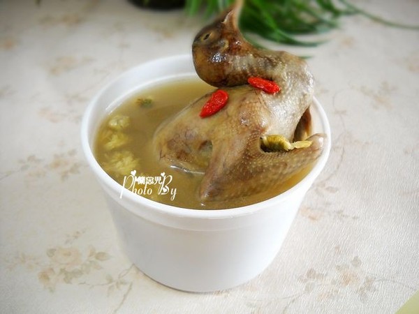 枸杞菊花燉乳鴿的做法-家常味燉菜譜 枸杞菊花燉乳鴿的做法-家常味燉菜譜