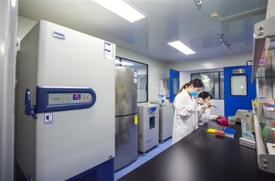 “成都造”如何用“基因剪刀”對抗腫瘤?