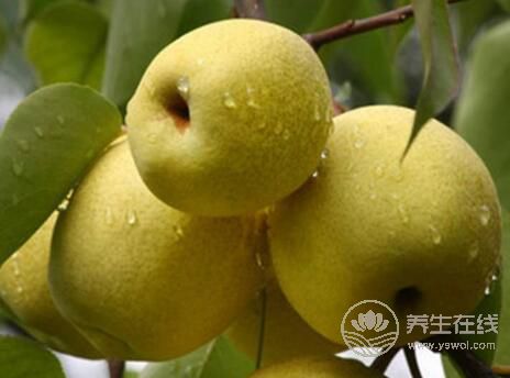 小雪節氣如何預防上火呢 小雪節氣如何預防上火呢